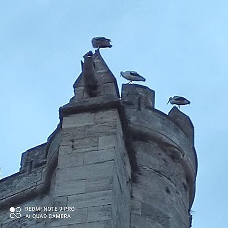 Logis Corneille I Daire Narbonne Dış mekan fotoğraf