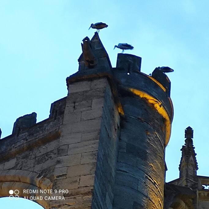 Logis Corneille I Daire Narbonne Dış mekan fotoğraf